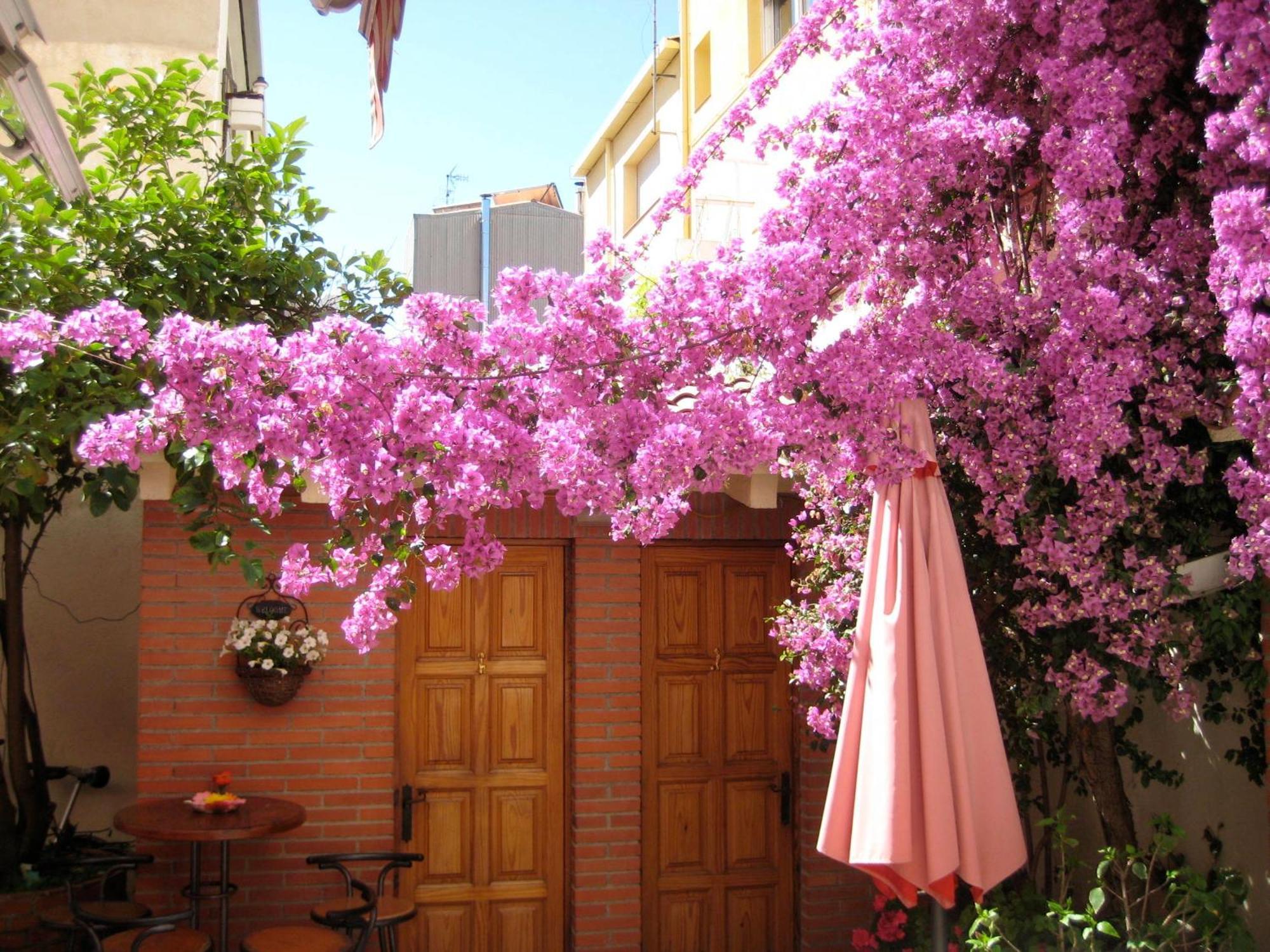 Pension Casa Austria Calella Exteriér fotografie